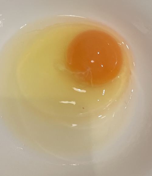 昔たまご アーク