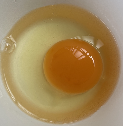 かぐやひめ 築上鶏卵