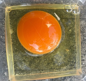ほっこり田舎のたまご 船ヶ崎ファーム