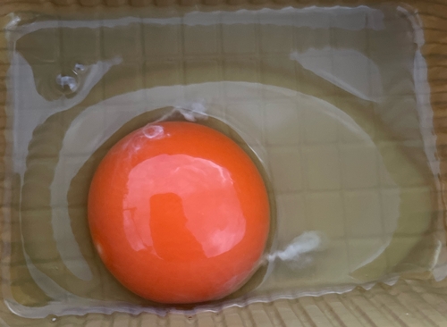 卵どすぇ グリーンファームソーゴ