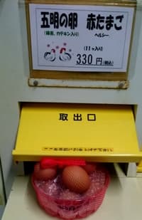 五明養鶏場の卵