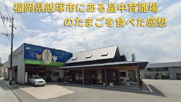 福岡県飯塚市にある畠中育雛場のたまごを食べた感想