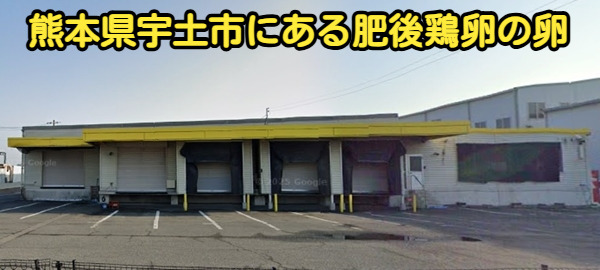 熊本県宇土市にある肥後鶏卵の卵