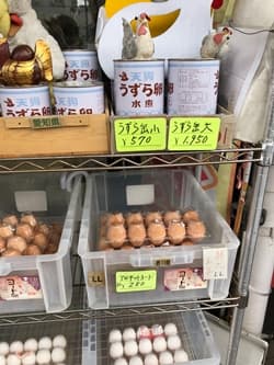 大阪市にある今津屋鶏卵のたまご