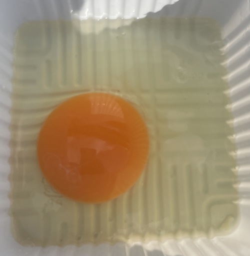 きみ恋し 伊藤養鶏場