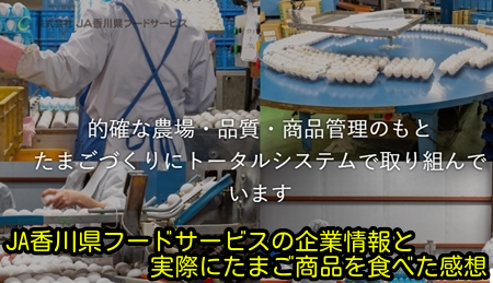 JA香川県フードサービスの企業情報と実際にたまご商品を食べた感想