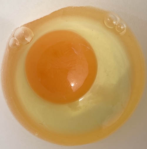 平飼い卵なちゅら  カジワラファーム