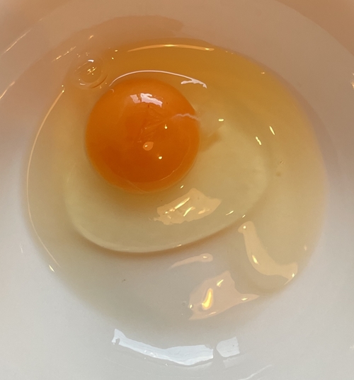 平飼い一貫生産たまご カジワラファーム