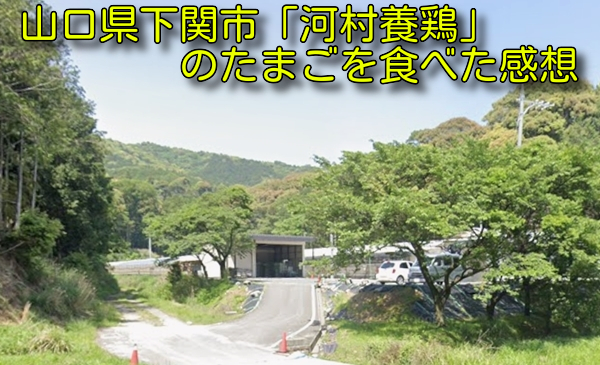 山口県下関市「河村養鶏」のたまごを食べた感想