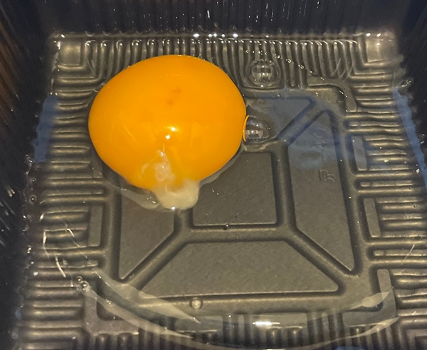 サスティナブルエッグ 小松種鶏場