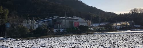 近江八幡市にある小杉養鶏場のたまご