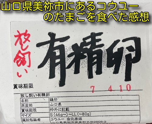 山口県美祢市にあるコウユーのたまごを食べた感想