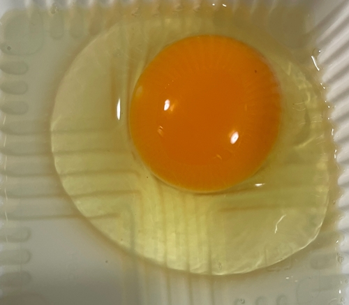 夢の卵 めぐみ天神原農場