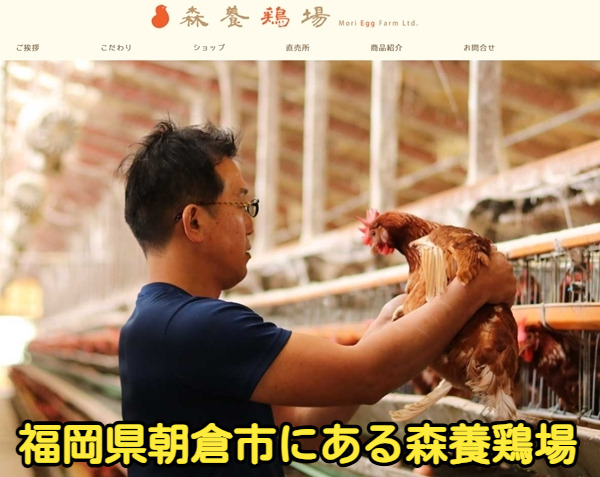 福岡県朝倉市にある森養鶏場