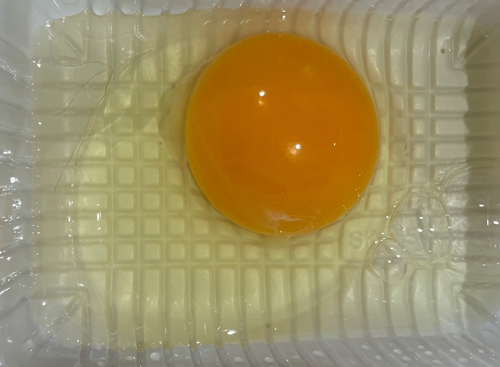 和華 内外飼料