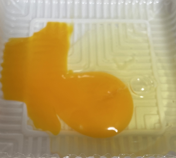 烏骨鶏の卵 中島清三郎