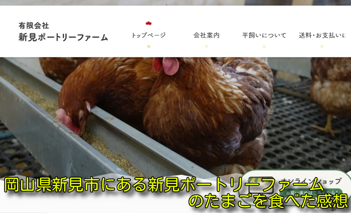 岡山県新見市にある新見ポートリーファームのたまごを食べた感想