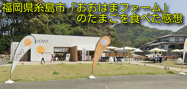 福岡県糸島市「おおはまファーム」のたまごを食べた感想