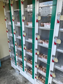 大宮農場の卵の自動販売機