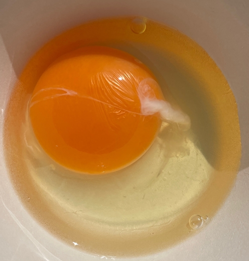 たまご 佐伯鶏卵