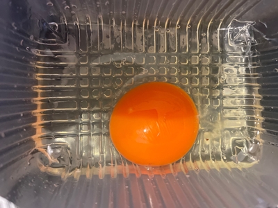 まんげつ 三栄鶏卵