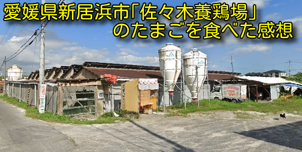 愛媛県新居浜市「佐々木養鶏場」のたまごを食べた感想