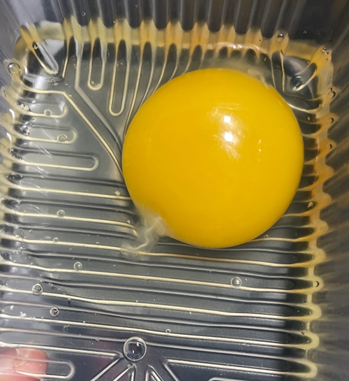 平飼い有精卵 セリフ