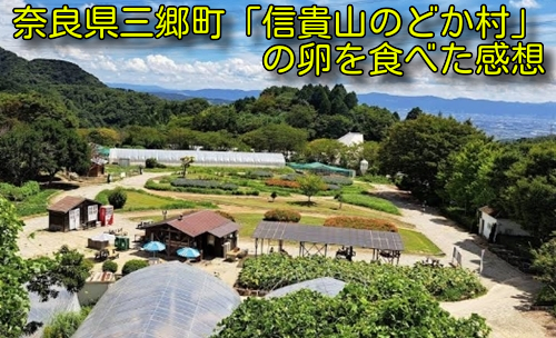 奈良県三郷町「信貴山のどか村」の卵を食べた感想