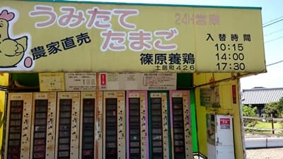 篠原養鶏自動販売機