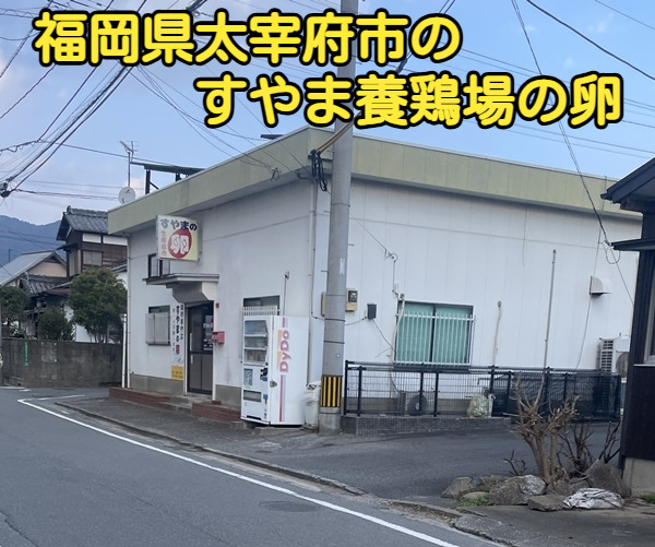 福岡県太宰府市のすやま養鶏場の卵