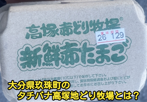 大分県玖珠町のタチバナ高塚地どり牧場とは？