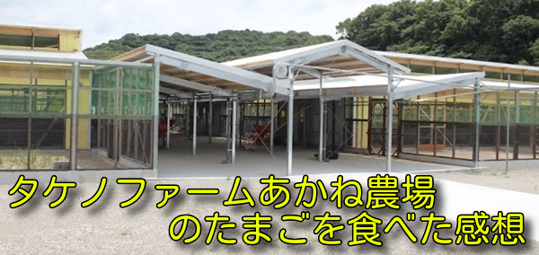 タケノファームあかね農場のたまごを食べた感想
