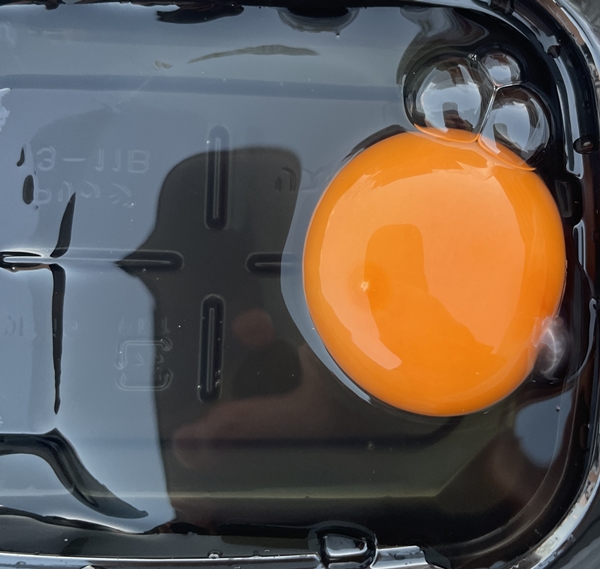 あかねの虜 タケノファームあかね農場