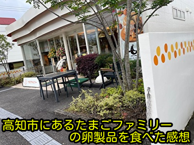 高知市にあるたまごファミリーの卵製品を食べた感想