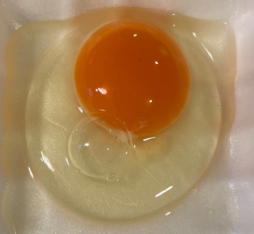 伝説のたまご 玉島養鶏センター