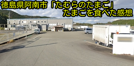 徳島県阿南市「たむらのたまご」たまごを食べた感想