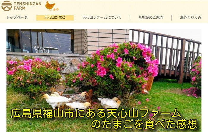 広島県福山市にある天心山ファームのたまごを食べた感想
