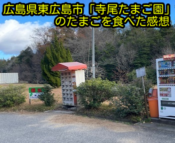 広島県東広島市「寺尾たまご園」のたまごを食べた感想