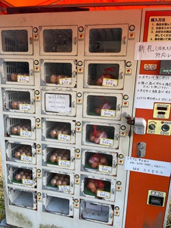 寺尾たまご園の卵の自動販売機