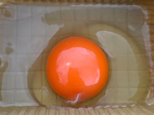 広島産たまご 土岐鶏卵