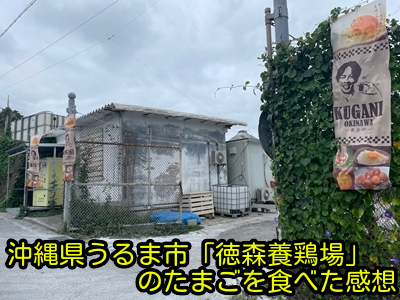 沖縄県うるま市「徳森養鶏場」のたまごを食べた感想