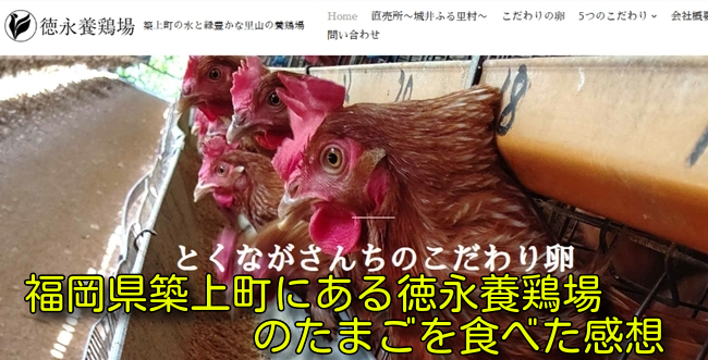 福岡県築上町にある徳永養鶏場のたまごを食べた感想